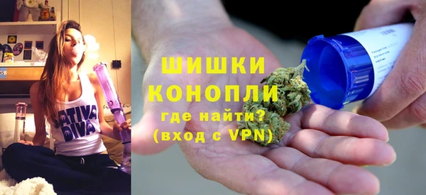 ГАЛЛЮЦИНОГЕННЫЕ ГРИБЫ Верея