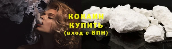 ГАЛЛЮЦИНОГЕННЫЕ ГРИБЫ Верея