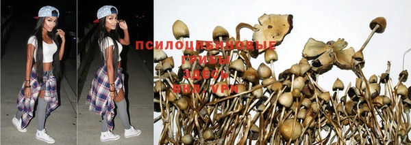 герыч Сосновоборск
