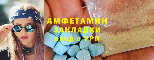 ГАЛЛЮЦИНОГЕННЫЕ ГРИБЫ Верея
