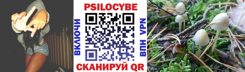 наркота omg маркетплейс Псилоцибиновые грибы ЛСД Невьянск